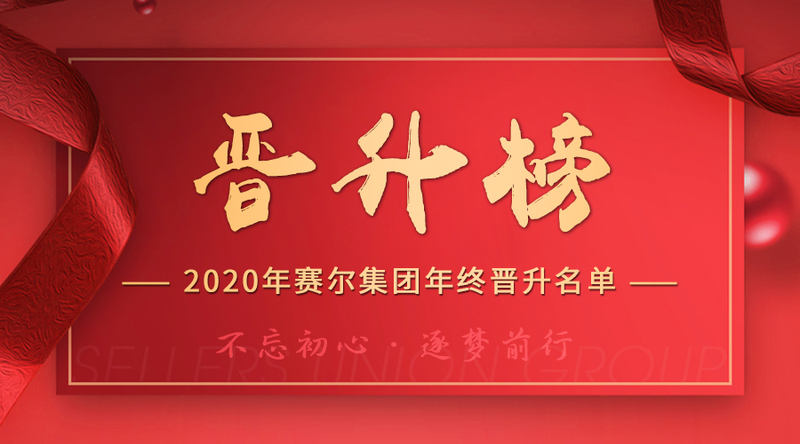 赛尔集团2020年终晋升榜